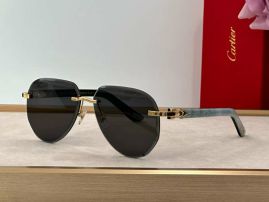 Picture of Cartier Sunglasses _SKUfw55707455fw